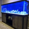 Aqueon LED Aquarium 125 Gallon